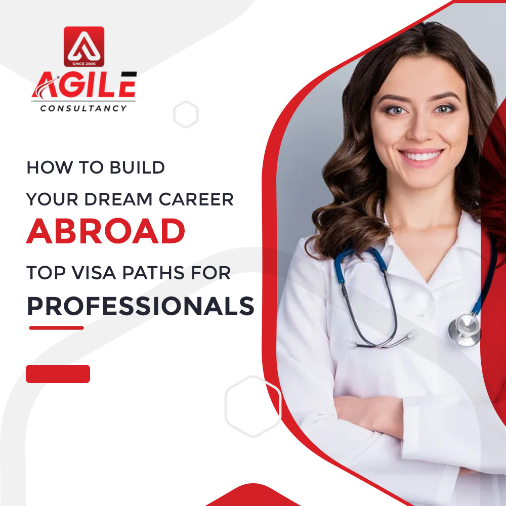 Top Visa Paths for Professionals